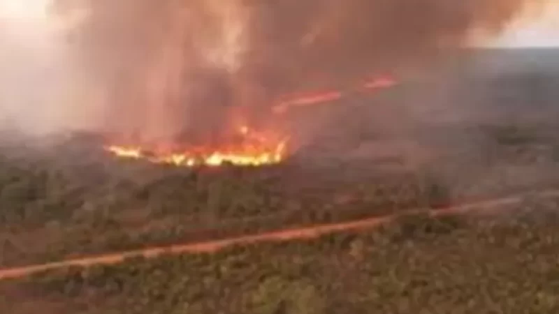 Brigadista do Ibama morre durante combate a incêndio em Terra Índigena
