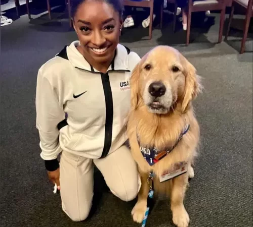 Olimpíadas: saiba quem é o ‘cão terapêutico’ que ajuda as ginastas dos EUA