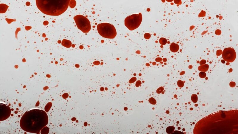 Homem mata a sogra para causar sofrimento psicológico à ex