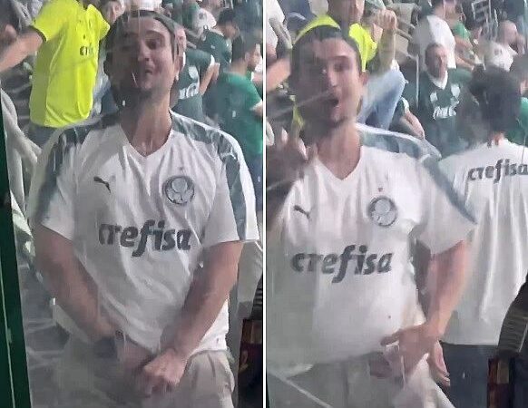 Polícia abre inquérito para investigar palmeirense que mostrou pênis para torcedora do Botafogo