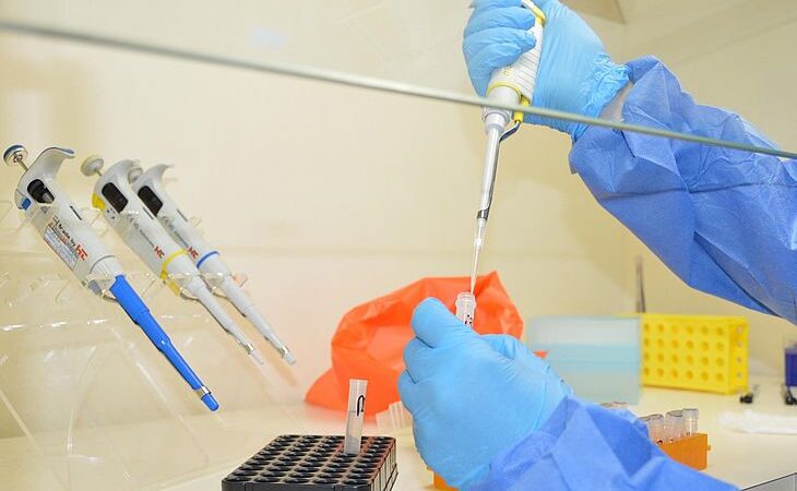 Sesau volta a alertar população sobre os cuidados para evitar a Febre do Oropouche