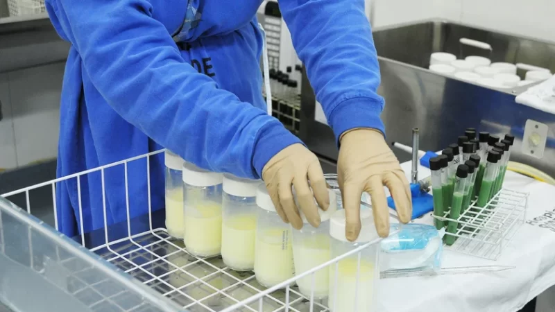 Bancos de leite humano: mais de oito mil lactantes foram atendidas em Alagoas no ano passado