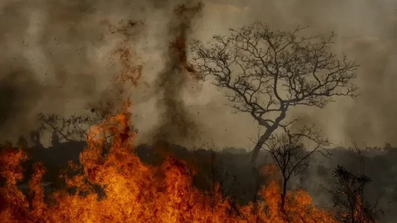 Governo aciona Polícia Federal com suspeita de novo ‘dia do fogo’ em São Paulo