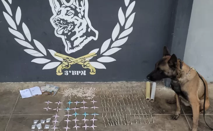 Dupla é presa ao ser flagrada com mais de 400 pedras de crack em Arapiraca