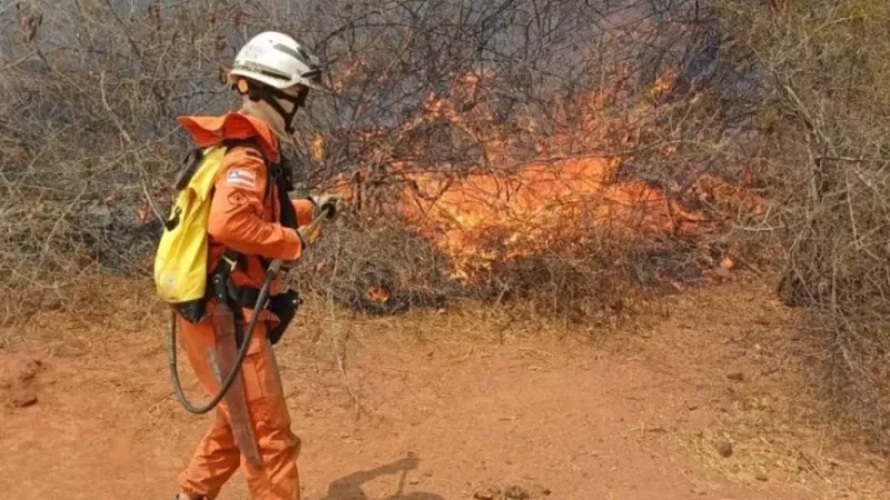 Bahia enfrenta vendavais, seca e focos de incêndio em cinco cidades