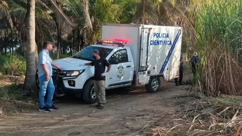 Corpo em avançado estado de decomposição é encontrado em canavial de Coruripe