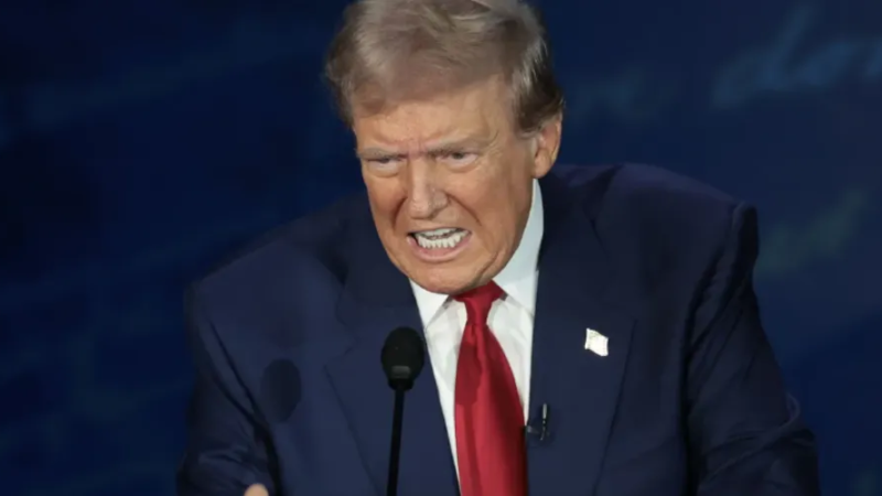 Trump diz que imigrantes ilegais estão comendo cães e gatos nos EUA