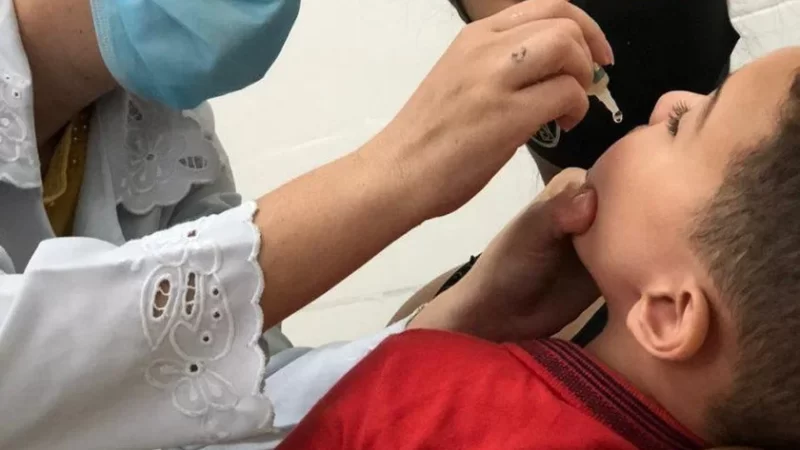 Vacina oral da poliomielite será substituída por dose ainda mais segura e eficiente