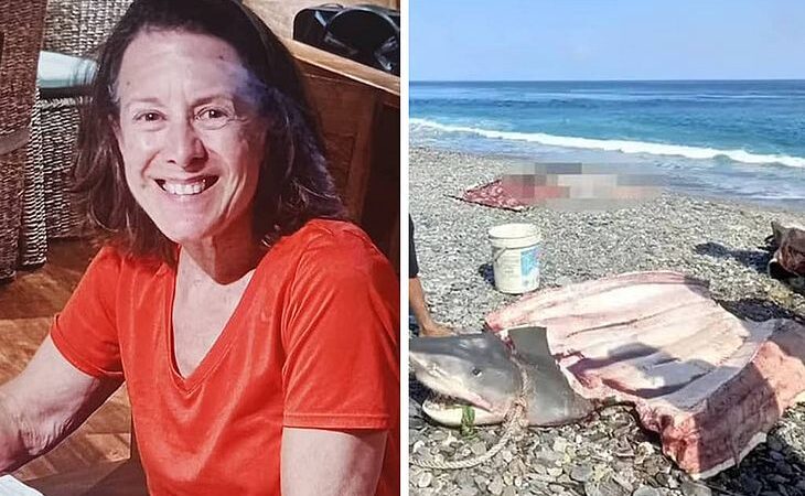 Corpo de turista desaparecida é encontrado dentro de tubarão
