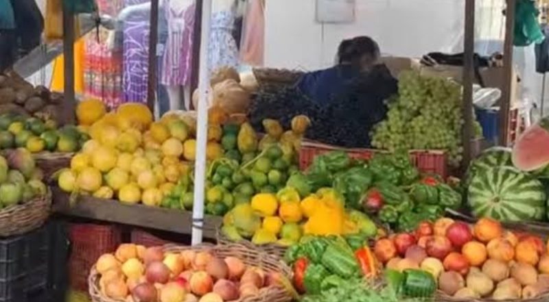 Comércio e feira livre de Palmeira funcionarão no sábado (30) até 14h