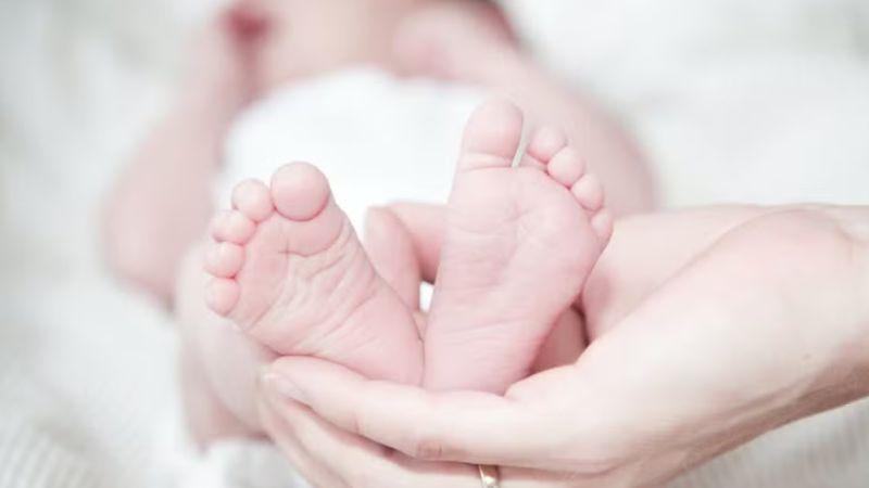 Alagoas registra menos nascimentos, casamentos e mortes em 2024