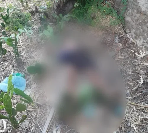 Polícia investiga se idoso assassinado em Maravilha foi vítima de abuso sexual