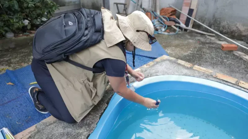 Dengue matou mais do que Covid-19 no Brasil