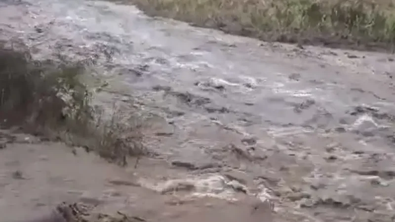Palmeira dos Índios registra o 3º maior acumulado de chuvas do Brasil