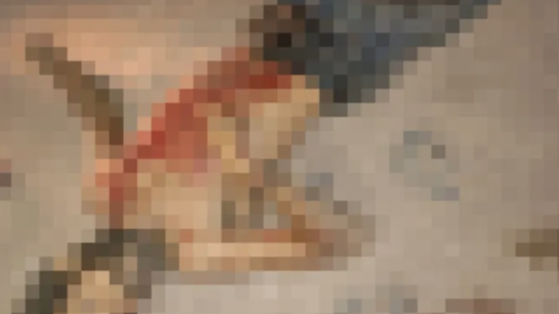 Homem em situação de rua é morto com golpe de faca em Arapiraca