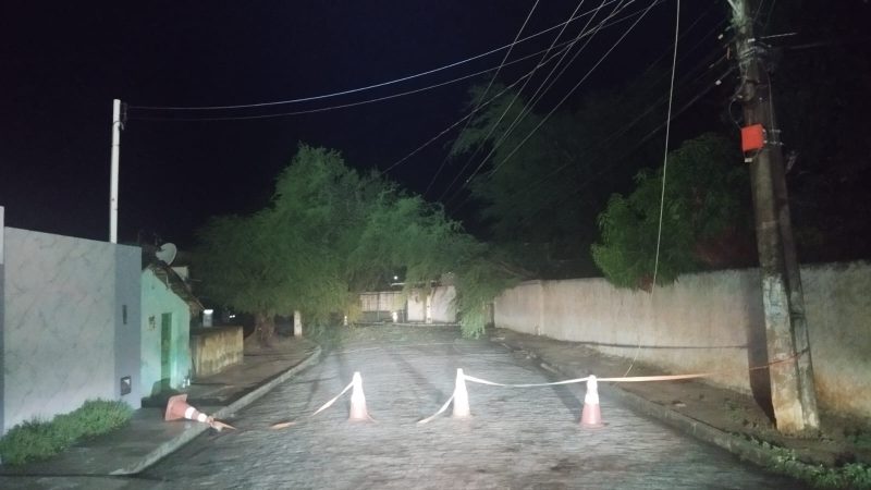 Árvore cai e derruba fiação elétrica deixando bairros sem energia elétrica em Palmeira dos Índios
