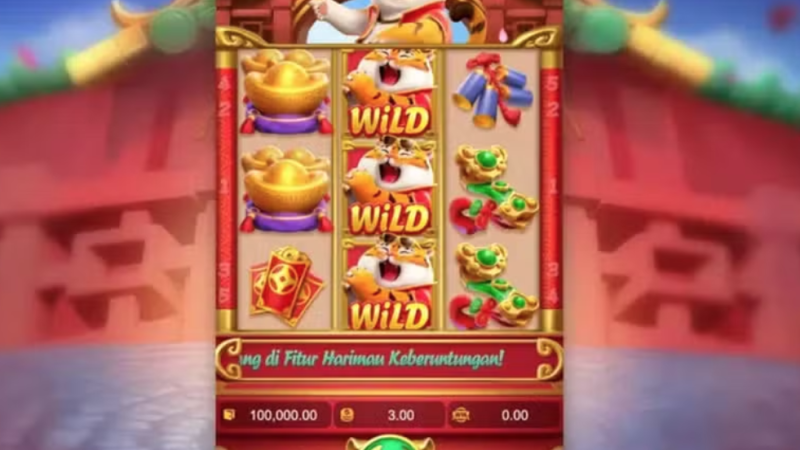 PC instaura seis inquéritos e mira em novos influenciadores suspeitos de divulgar jogos ilegais na internet