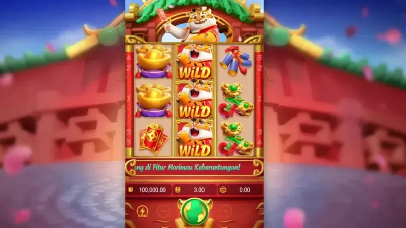 Polícia Civil investiga influenciadores que divulgam jogos online ilegais na região do Baixo São Francisco, AL