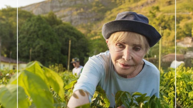 Morre Anita Studer, a mulher que salvou Pedra Talhada e mudou a história de Quebrangulo