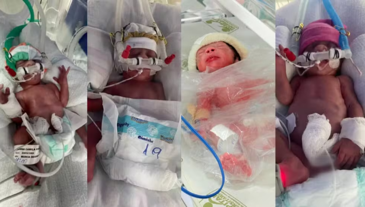 Quadrigêmeos nascem no Paraná após casal tentar ter filhos por quatro anos