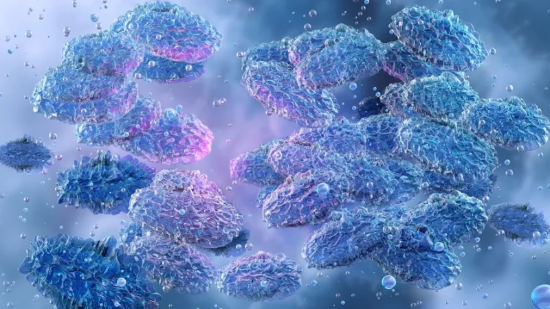 Cólera e peste bubônica: doenças continuam a circular; saiba como se proteger!