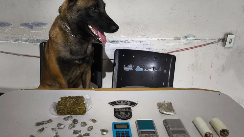 Operação da PM mira grupos criminosos e prende dois suspeitos em Arapiraca