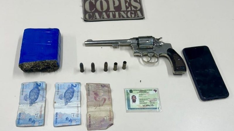 Polícia Militar apreende armas de fogo e drogas em ações nas regiões Sul e Sertão