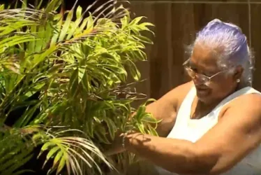 Prefeitura de Maceió notifica moradora por colocar vasos de plantas na calçada