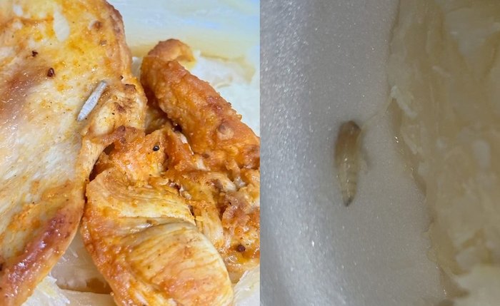 ESCÂNDALO NA SAÚDE: Paciente encontra larvas em marmita na UPA do Benedito Bentes e caso viraliza nas redes sociais