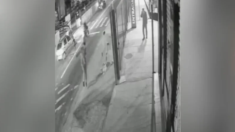 Polícia identifica PM como suspeito de executar cachorro