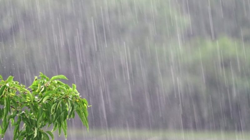 Palmeira dos Índios entra em alerta amarelo para chuvas intensas e risco de alagamentos