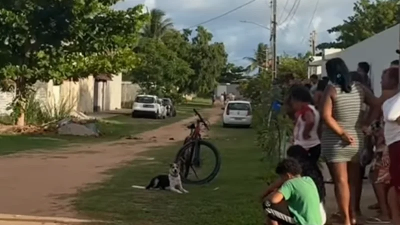 Tragédia no Litoral Norte: criança de 3 anos morre após afogamento em piscina residencial