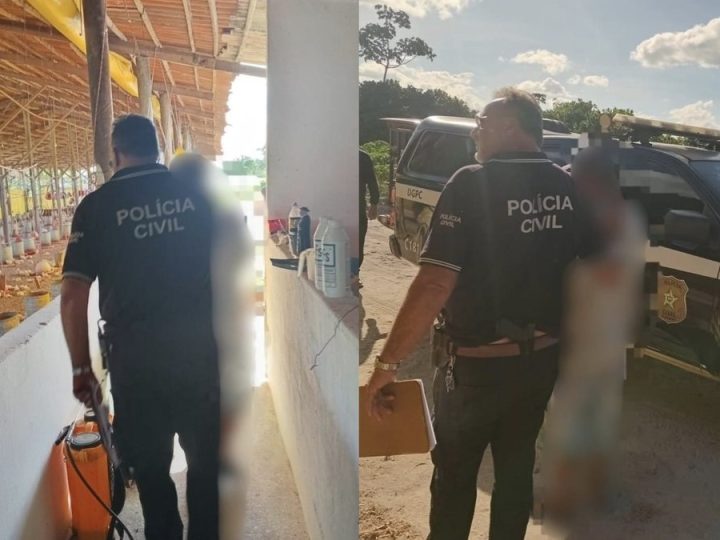 Foragido por estupro em SP é preso no primeiro dia de trabalho em granja no interior de AL