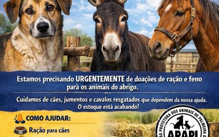 Abrigo pede socorro urgente para manter alimentação de animais resgatados em Palmeira dos Índios