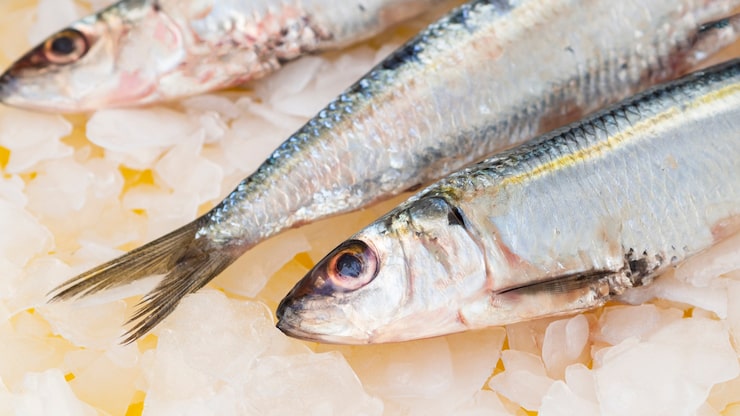 13 mil famílias de Palmeira dos Índios serão beneficiadas com entrega de peixes na Semana Santa