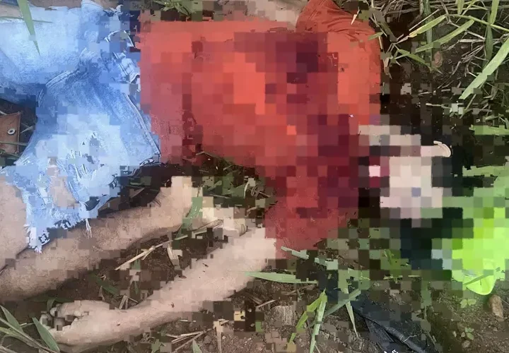 Homem é morto a tiros e corpo é achado em estrada na zona rural de Arapiraca