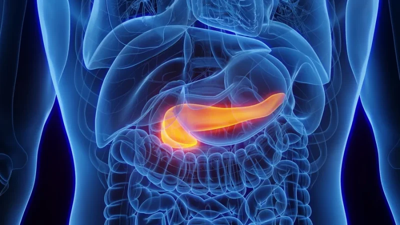 Vacina contra câncer de pâncreas mantém efeito por até 6 anos