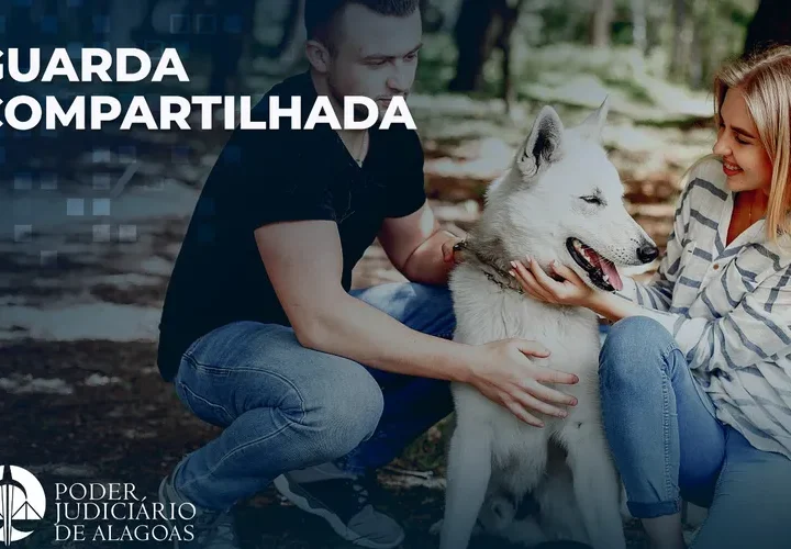 Justiça de Alagoas registra primeiro caso de guarda compartilhada de pet em processo de separação