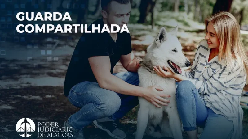 Justiça de Alagoas registra primeiro caso de guarda compartilhada de pet em processo de separação