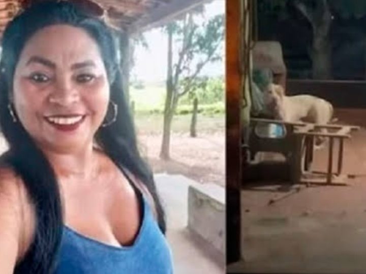 De ataque de pitbull a possível feminicídio: morte de mulher ganha nova linha de investigação