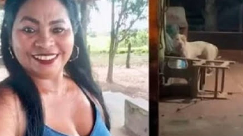 De ataque de pitbull a possível feminicídio: morte de mulher ganha nova linha de investigação
